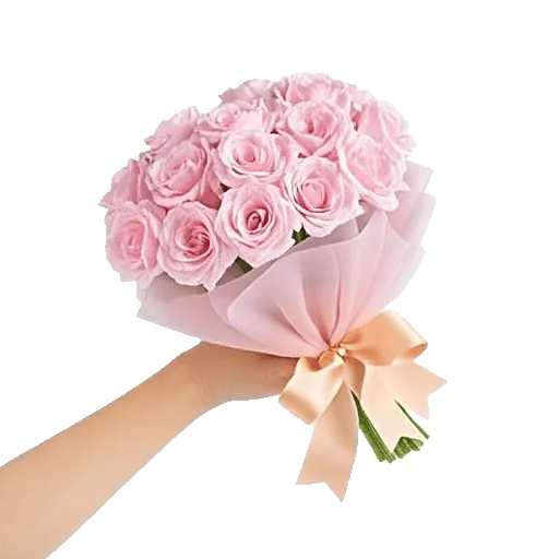 Petal Softness Display