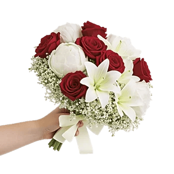 Crimson Rose Elegance