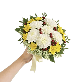 Petal Harmony Bliss