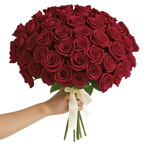 Crimson Rose Elegance