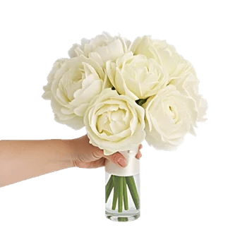Peony Petal Harmony