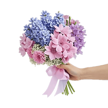 Blossom Petal Serenity