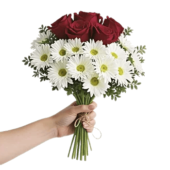 Crimson Rose Elegance