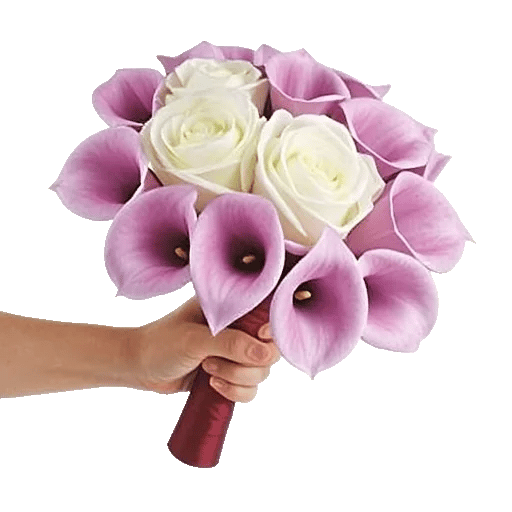 Elegant Calla Lilies