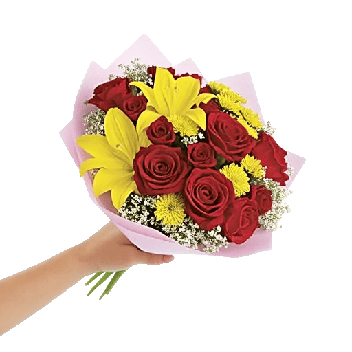 Crimson Rose Elegance