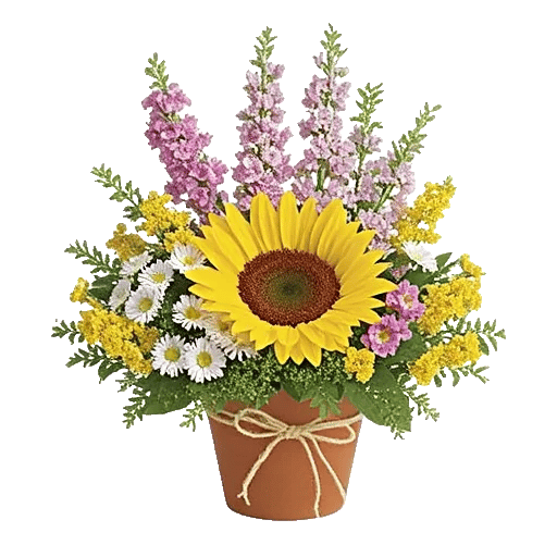 Amber Sunflower Glow