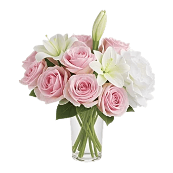 Ivory Blossom Radiance