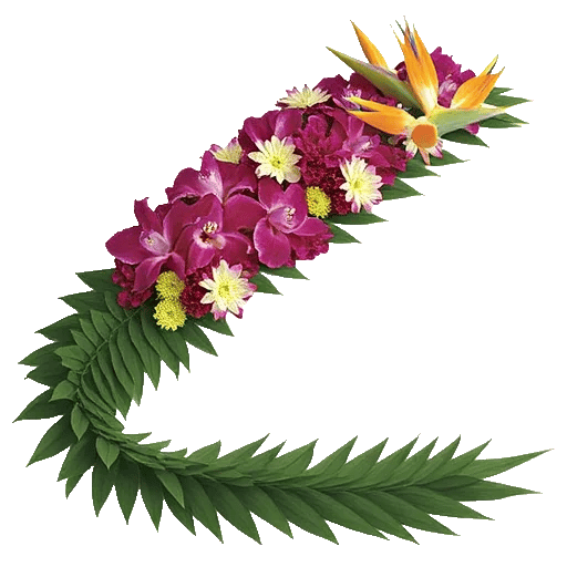 Orchid Bloom Cascade