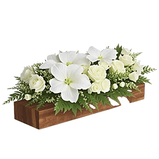 Modern White Orchids