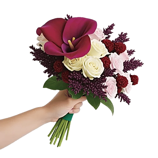 Elegant Calla Lilies