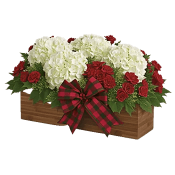 Delicate Petal Cascade