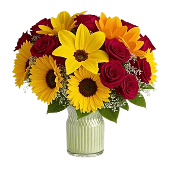 Petal Radiance Bliss