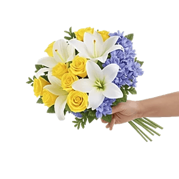 Blossom Harmony Display