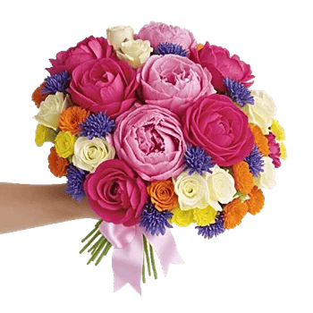 Peony Petal Harmony