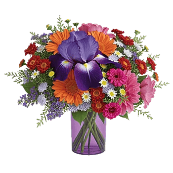 Ivory Blossom Radiance