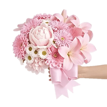 Peony Petal Harmony