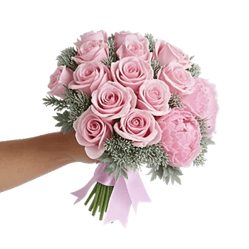 Pastel Pink Roses