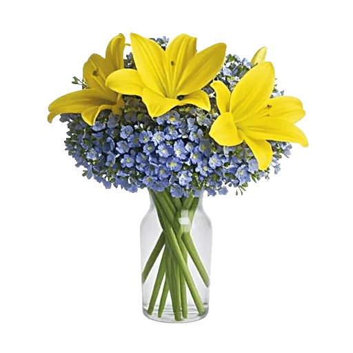 Graceful Lily Display