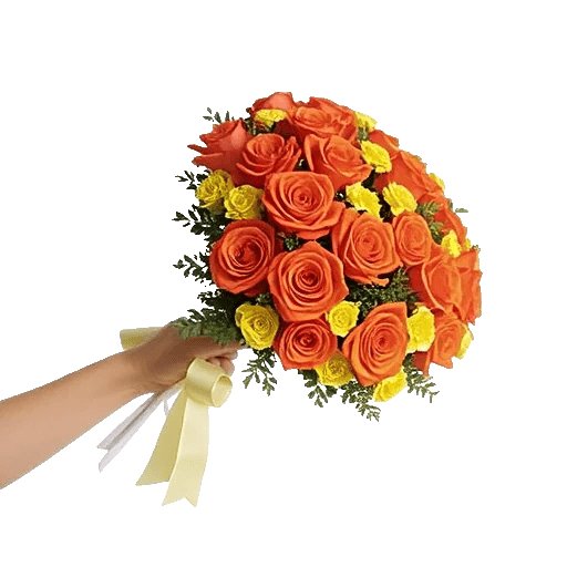 Radiant Rose Symphony