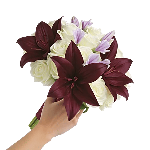 Elegant Calla Lilies