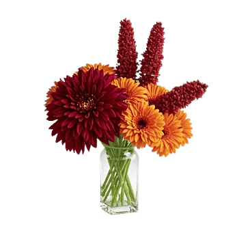 Crimson Blossom Harmony