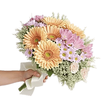 Delicate Petal Cascade