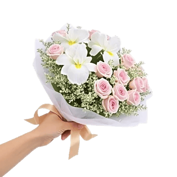 Ivory Garden Grace