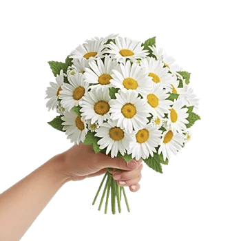Daisy Meadow Spread