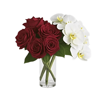 Orchid Bloom Cascade