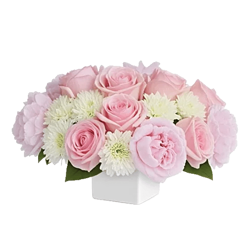 Delicate Petal Cascade