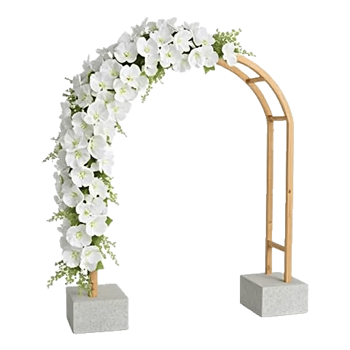 Modern White Orchids