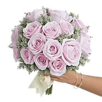 Pastel Pink Roses