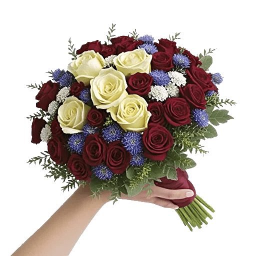 Crimson Rose Elegance