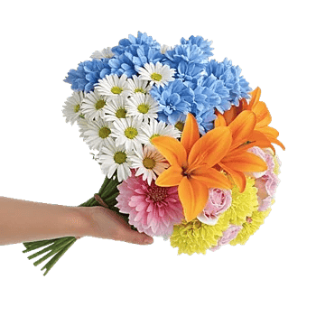 Serenity Blossom Grace