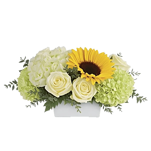 Amber Sunflower Glow