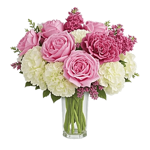 Petal Radiance Bliss