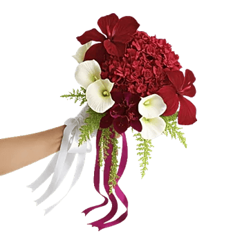 Deep Red Foliage