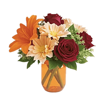 Petal Radiance Bliss
