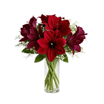 Crimson Blossom Harmony