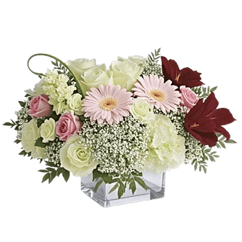 Delicate Petal Cascade