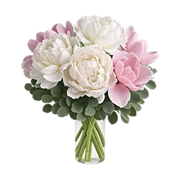 Ivory Blossom Radiance