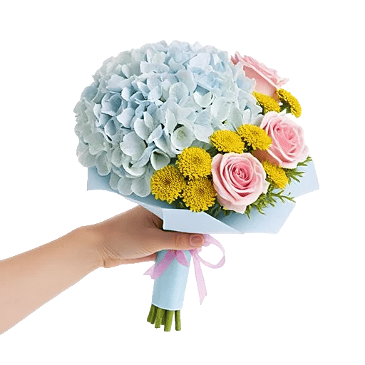 Serene Petal Harmony