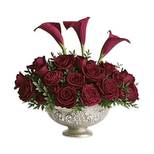 Elegant Calla Lilies