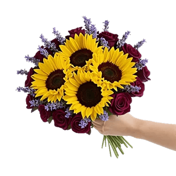 Twinkling Sunflower Dance
