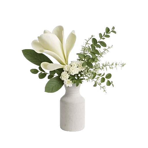 Minimalist White Orchids