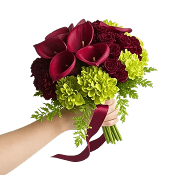 Elegant Calla Lilies