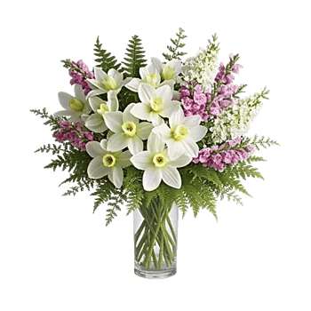 Ivory Blossom Radiance