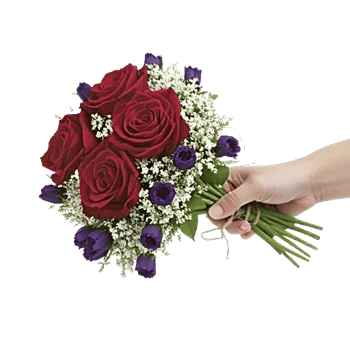 Crimson Rose Elegance