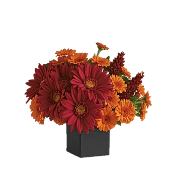 Crimson Blossom Harmony