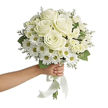 Ivory Garden Grace